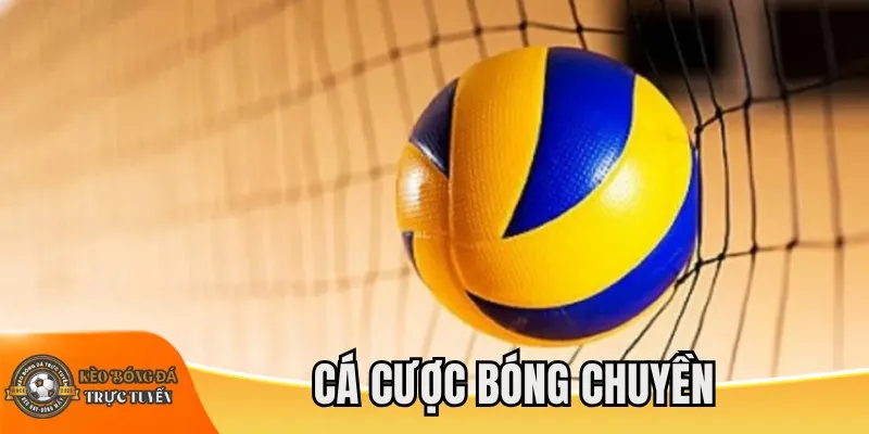 Cá cược bóng chuyền