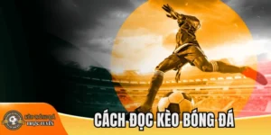 Cách đọc kèo bóng đá