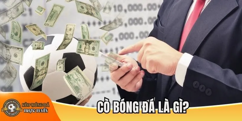 Cò bóng đá là gì?
