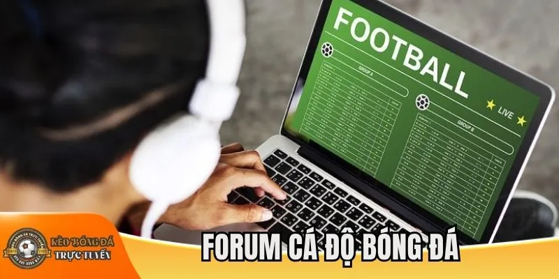 Forum cá độ bóng đá