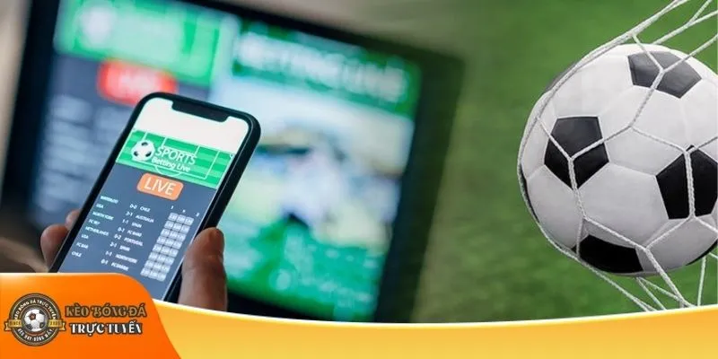 Cách cá độ bóng đá đơn giản cho người mới