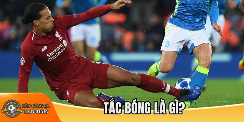 Tắc bóng là gì?