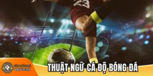 Tiếng lóng trong cá độ bóng đá