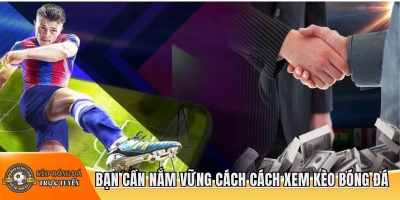 Bạn cần nắm vững cách cách xem kèo bóng đá