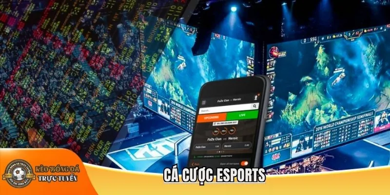 Cá cược Esports