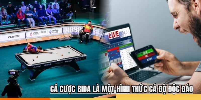 Cá cược bida là một hình thức cá độ độc đáo