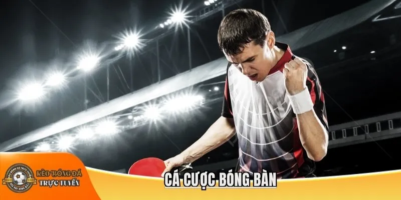 Cá cược bóng bàn