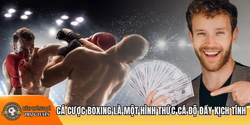 Cá cược boxing là một hình thức cá độ đầy kịch tính