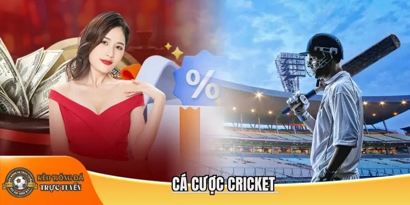 Cá cược cricket