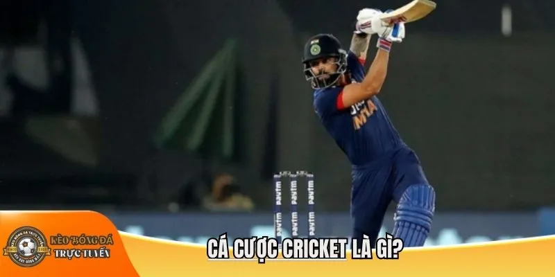 Cá cược cricket là gì?