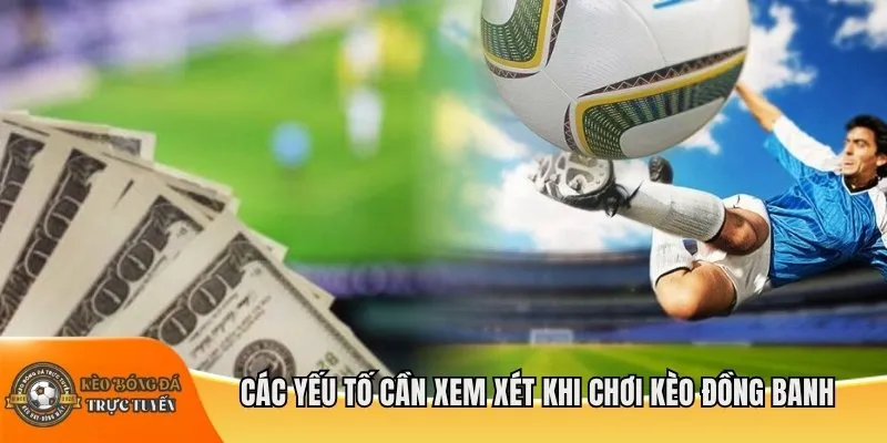 Các yếu tố cần xem xét khi chơi kèo đồng banh