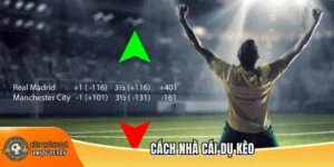 Cách nhà cái dụ kèo