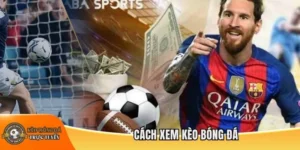 Cách xem kèo bóng đá