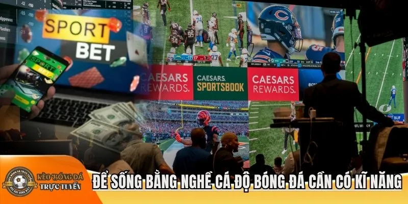 Để sống bằng nghề cá độ bóng đá cần có kĩ năng