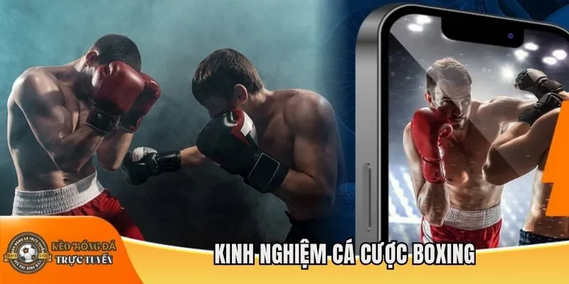 Kinh nghiệm cá cược boxing