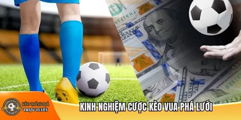 Kinh nghiệm cược kèo vua phá lưới