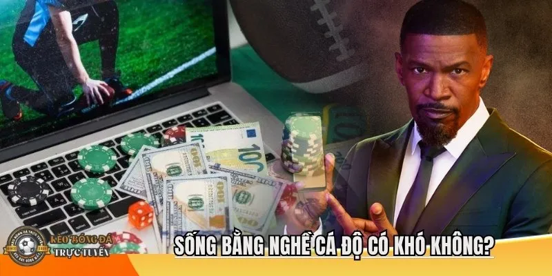 Sống bằng nghề cá độ có khó không?