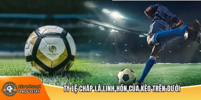 Tỷ lệ chấp là linh hồn của kèo trên dưới